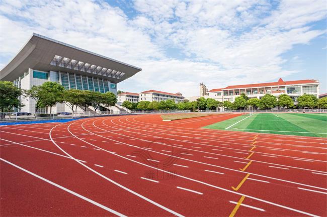 從設計到施工，全塑型SPU跑道的全方位解決方案